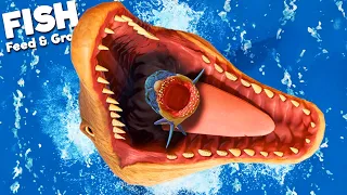 *NEW* DINO WHALE HITS MAX LEVEL! | Feed and Grow Fish