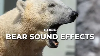 BEAR GROWL SOUND EFFECTS |  FREE DOWNLOAD - SoundFree