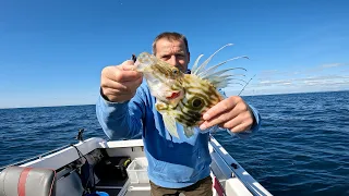 Two days of UK boat fishing. Mixed bag from inshore and out on rough ground.