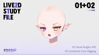 Head XYZ + Complete Face Rigging 【Live2D study file showcase】