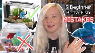 5 BEGINNER BETTA FISH CARE MISTAKES