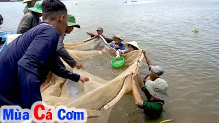 Trúng Lưới CÁ CƠM Các Anh Các Chú Vui Mừng #127