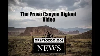 The Provo Canyon 'Sasquatch' Video