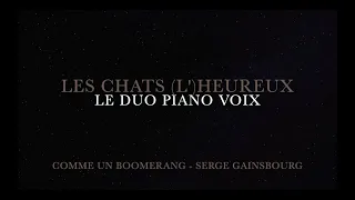 Comme un boomerang - Serge Gainsbourg - Hommage à Dani  (Les chats (l')heureux)