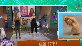 ¡La PEOR alumna! La Miss Verónica Toussaint le dio clases de yoga a Marta Guzmán | ¡Qué Chulada!