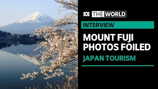 Town builds screen to block Mount Fuji view as Japan grapples with tourists | The World