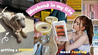 Vlog! Getting a dachshund puppy, unboxing book mail & reading my May TBR!