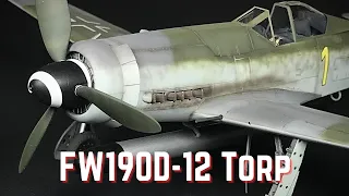 HobbyBoss 1/48 FW190D-12 Torpedo Full Build and Paint Scale Model kit