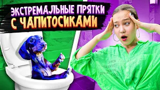 ЭКСТРЕМАЛЬНЫЕ ПРЯТКИ С ЧАПИТОСИКАМИ