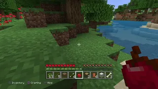 PLAYING MINECRAFT FOR THE FIRST TIME