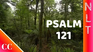 Psalm 121 - NLT - Bible Song - Scripture Song - Learn Bible Verses