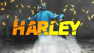 Текст песни WHY BABY?-Harley