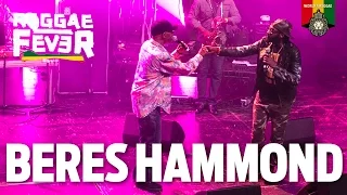 Beres Hammond Live at Reggae Fever Festival 2015