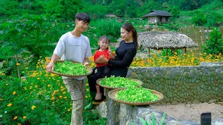 Heavy rain - Sang vy and her daughter harvest Papaya flowers, plant a chili garden - Rural life