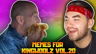 KingWoolz Reacts to MEMES For KINGWOOLZ [vol.20]
