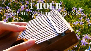 Nocturne Op.9 No.2, Chopin - 1 Hour Relaxing Kalimba 칼림바