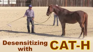 Desensitizing Using CAT-H