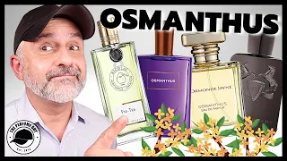 TOP 15 OSMANTHUS FRAGRANCES | Osmanthus Flower In Fragrances Smell Like Stone Fruit + Leather