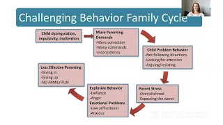 Challenging Child Behaviors and the Family Cycle