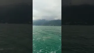 Абхазия 2021г. Встреча с дельфинами во время морской прогулки.Гагра.