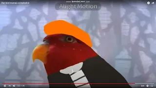 RED BIRD MEMES COMPILATION