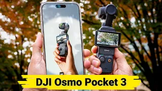 DJI Osmo Pocket 3 | Why I went with the Basic Kit vs the Creator Combo