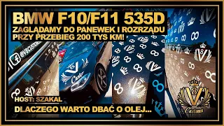 V8 Customs #123 - BMW F10/F11 535d - zaglądamy do panewek i rozrządu przy 200 tys km!