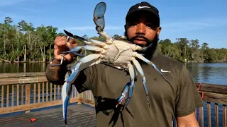 Can't Believe This Happened To Me!!! Catching Jumbo Blue Crabs!!!