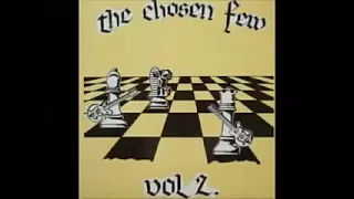 Various ‎– The Chosen Few Vol. 2 : 60s Garage Rock Punk Fuzz Psych Music USA Bands Compilation