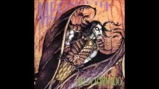 12)Megadeth -Ashes In Your Mouth - Like A Tornado Live 92'