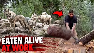 These 3 Employees Were EATEN ALIVE By Deadly Animals While At Work!