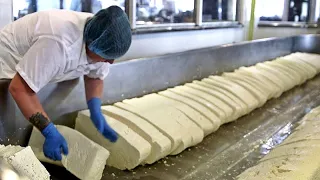 Paano Ginagawa ang Cheddar Cheese sa Factory - Proseso ng Paggawa ng Cheddar Cheese