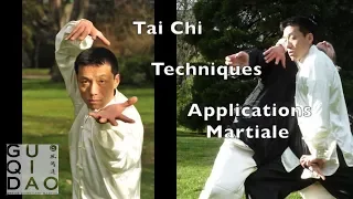 Taijiquan Martial Application - Tai Chi fight Techniques Lesson