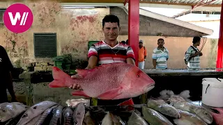 L'île de Mahé aux Seychelles - Visite du marché traditionnel de Victoria