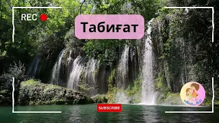 Табиғат туралы тақпақ!