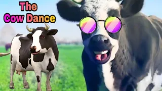 Vídeo Engraçado com Vaca Dançando | Cow Dance