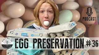 Preserve your eggs, don't waste them! Egg storage ideas to preserve farm fresh eggs.