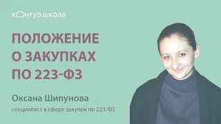 Положение о закупках по 223 ФЗ ответственность, практика ФАС