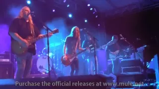 Gov't Mule w/ Charlie Starr - Cowgirl In The Sand (partial) - Peoria, IL 08/22/16