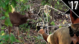 BUCKS IN DAYLIGHT!!! - (Bowhunting the OCTOBER Lull)