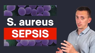 Staphylococcus aureus Sepsis: Crucial Tips for Clinicians