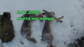 охота на зайца 2.01.2022