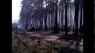 Požár Bzeneckého lesa