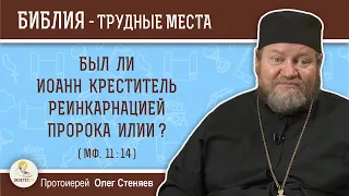 Был ли Иоанн Креститель реинкарнацией пророка Илии (Мф. 11:14)?  Протоиерей Олег Стеняев