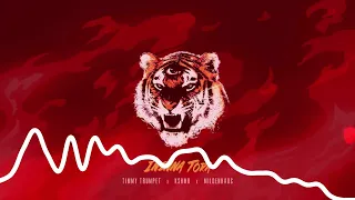 Timmy Trumpet & KSHMR, Mildenhaus - Ininna Tora (Audio Music)