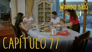Wounded Birds (Yaralı Kuşlar) | Capítulo 77 en Español