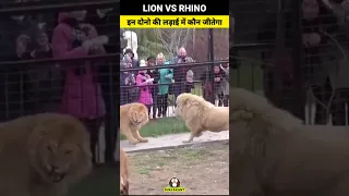 Lion vs Rhino इन दोनो की लड़ाई में कौन जीतेगा Lion fight #shorts #lion #wildlife #suryakant