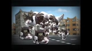 welcome to kitty city (кавер)