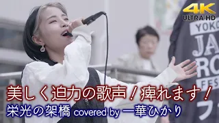 【 歌うま 】 美しく迫力の歌声！痺れます！　栄光の架橋 / ゆず（covered by 一華ひかり）横須賀路上ライブ（横須賀ジャズロックフェスティバル） 🎧推奨 高音質４K映像