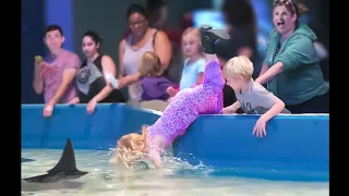 she fell into shark tank, then..